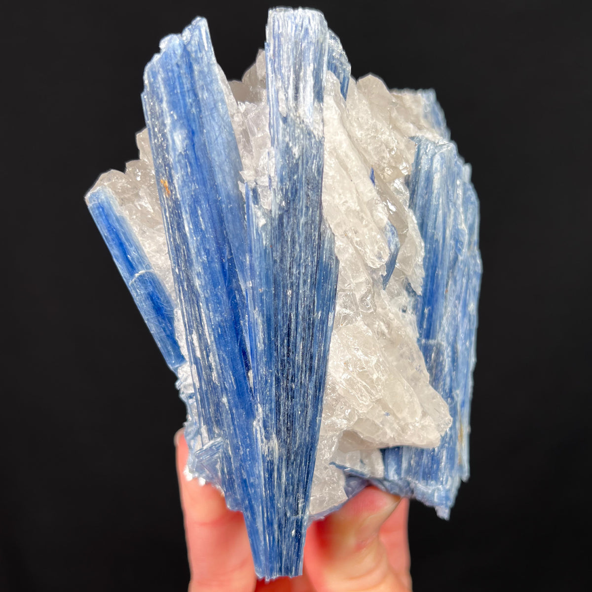 Blue Kyanite with Quartz