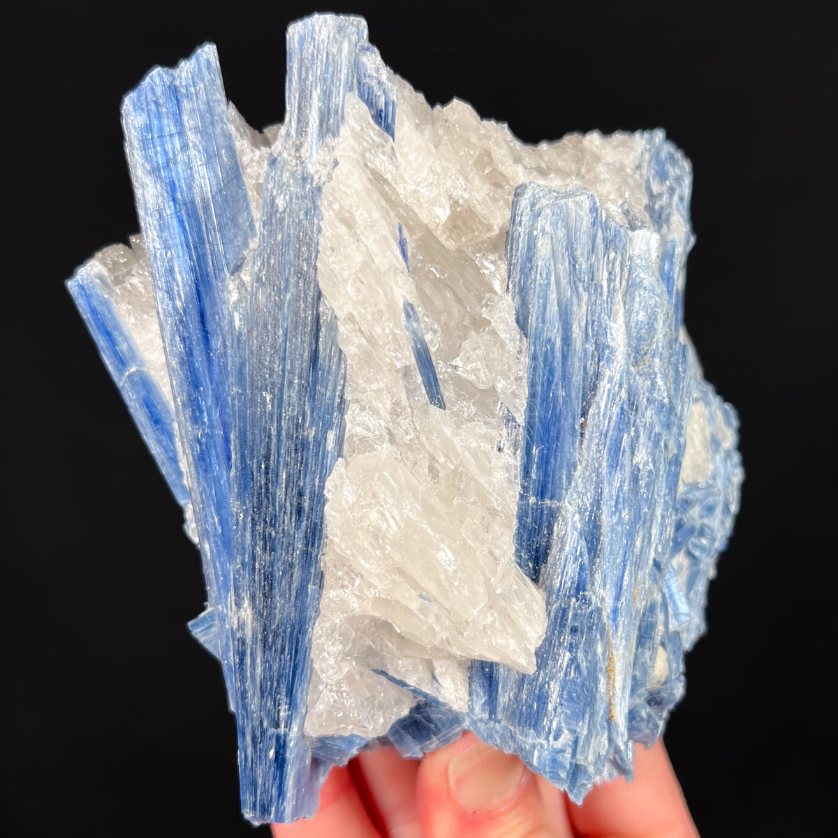 Large Blue Kyanite Crystal Specimen