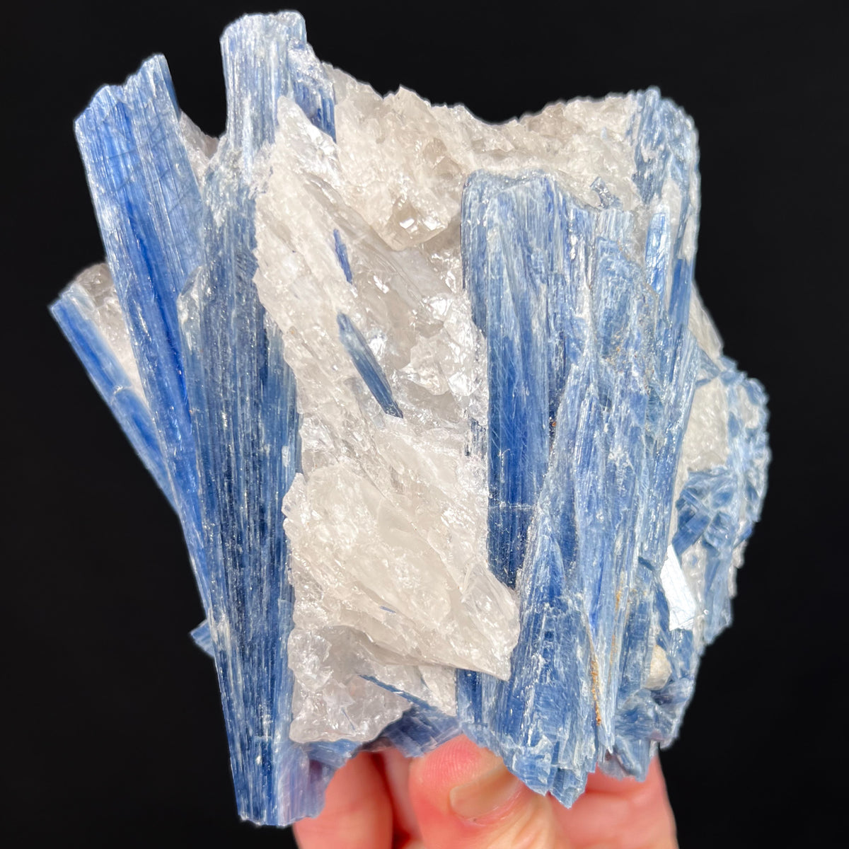 Large Blue Kyanite in Quartz Crystal Specimen 