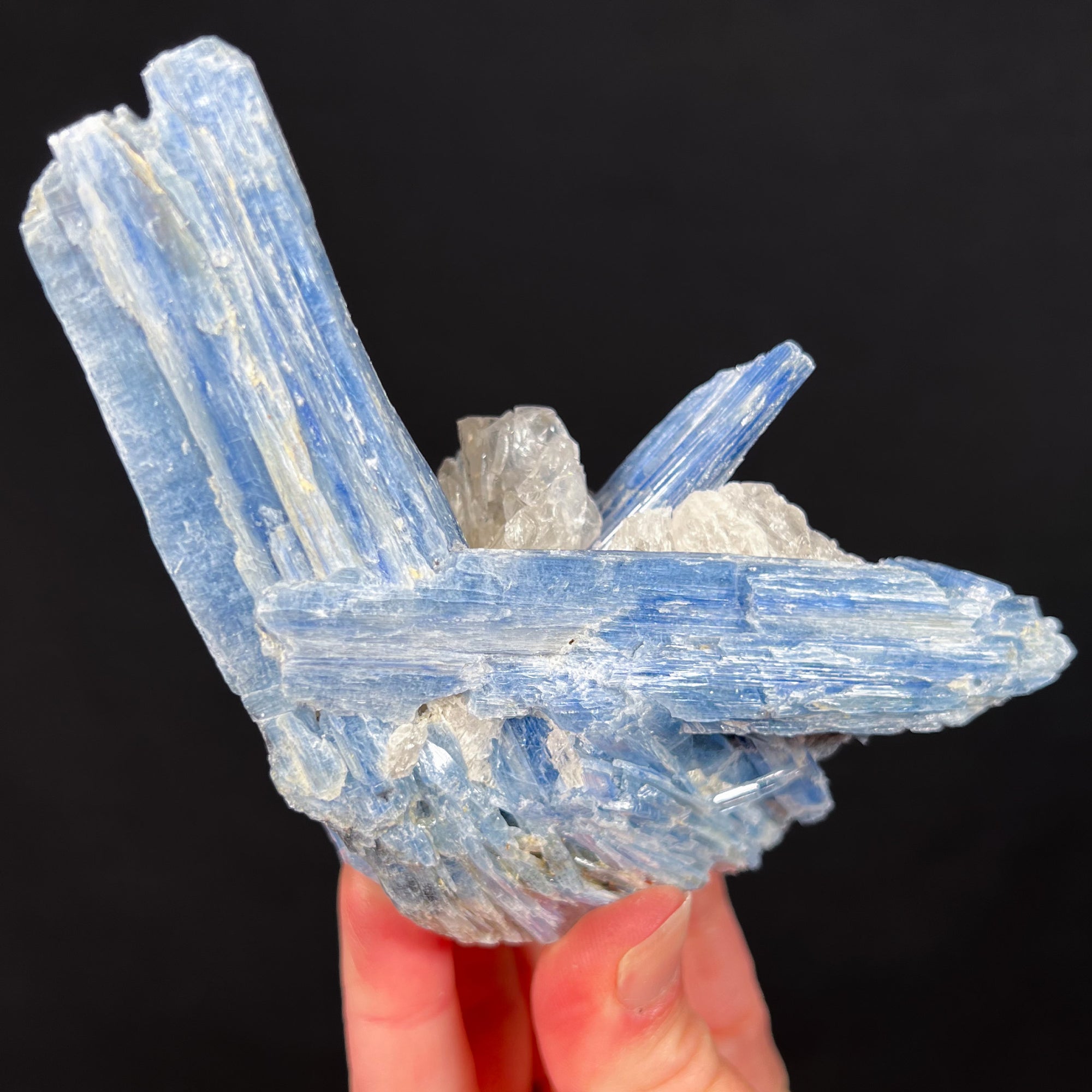 Large Blue Kyanite Crystals with Quartz