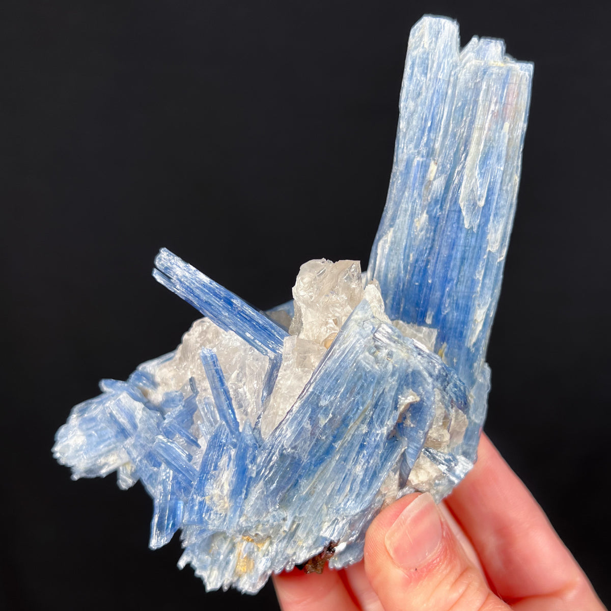 Blue Kyanite with Quartz Mineral Specimen