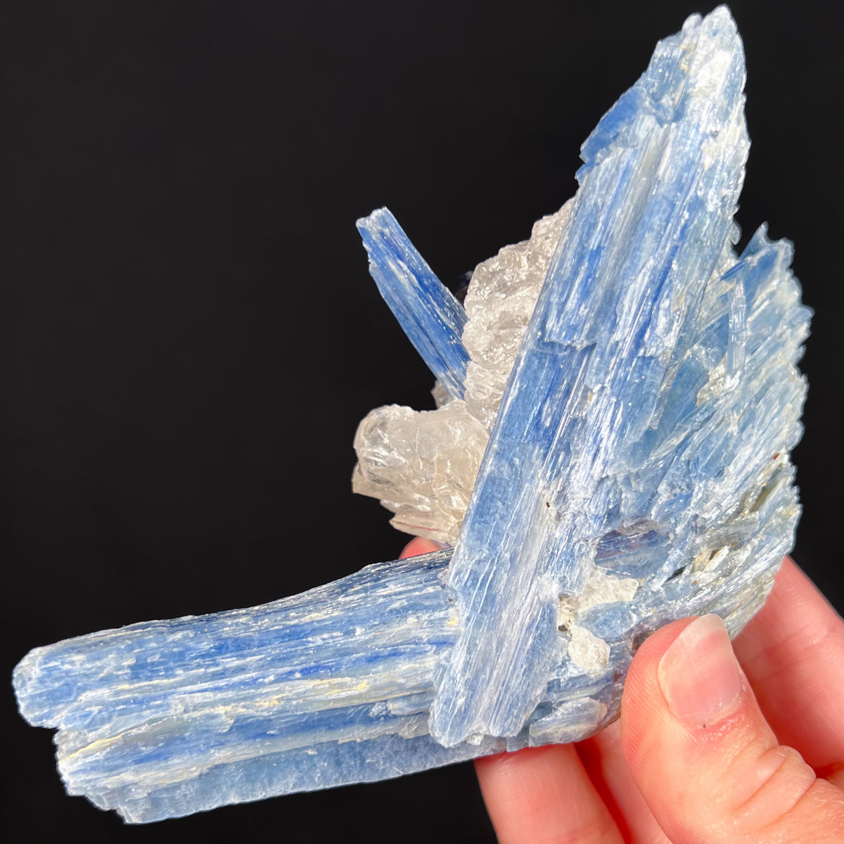 Blue Kyanite Crystals with Quartz