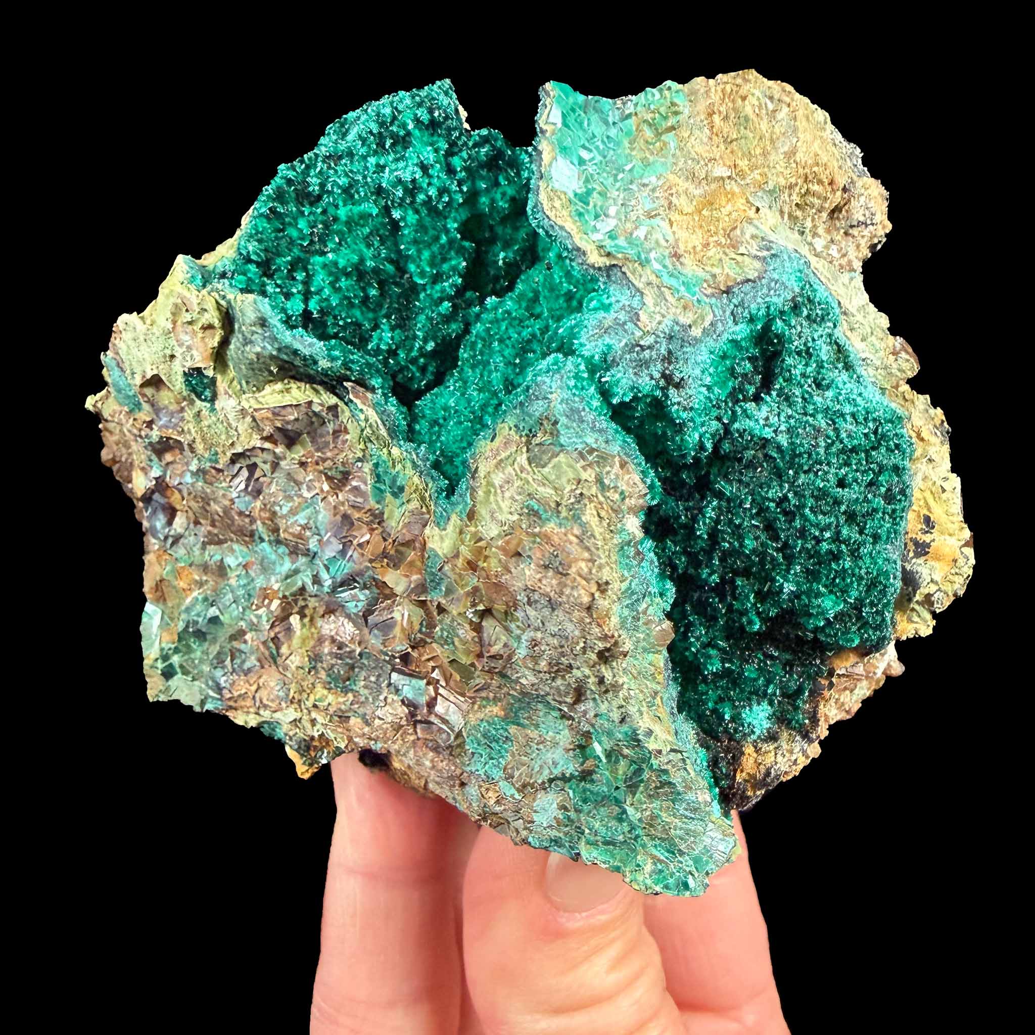 Brochantite - Douglas Hill Mine, Nevada