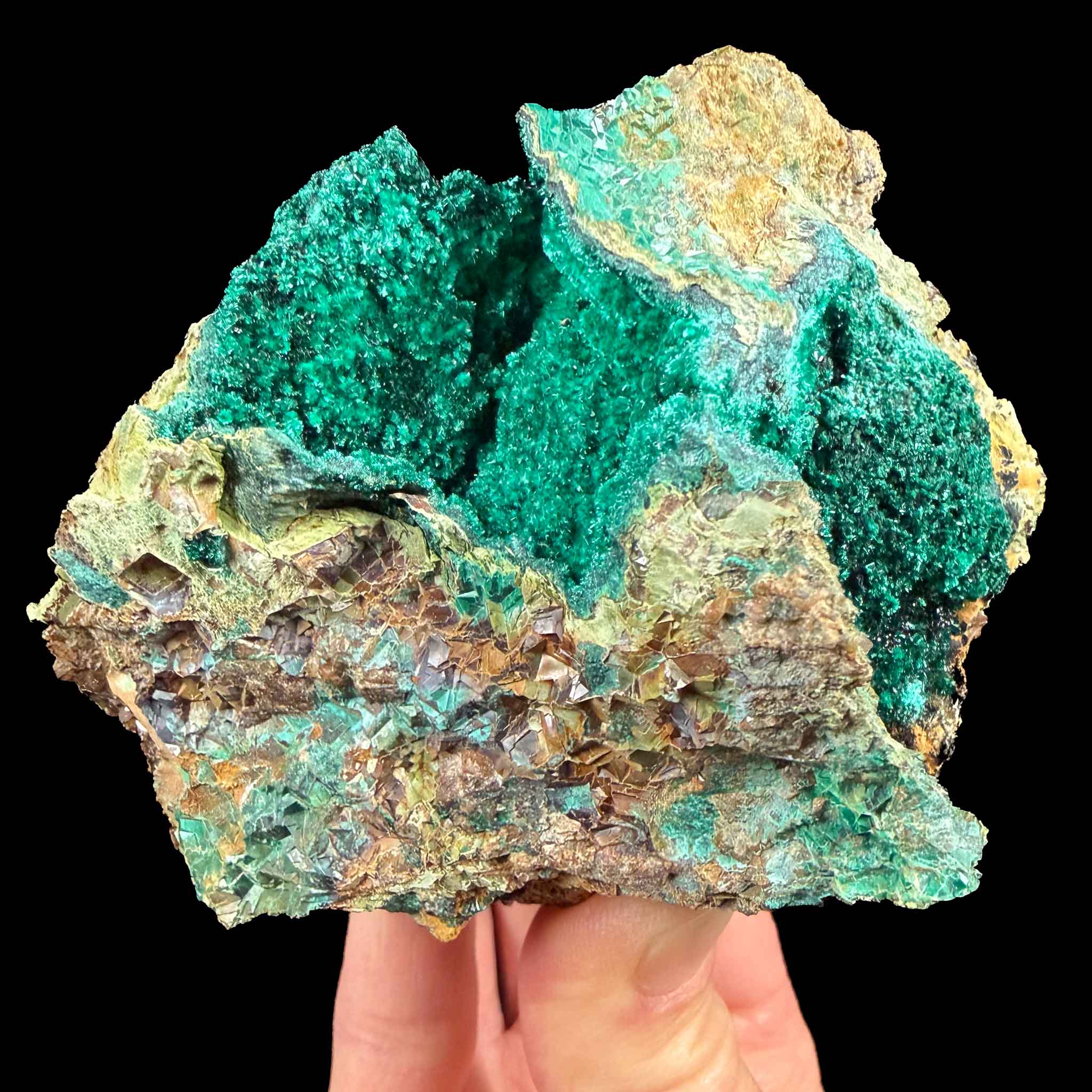 Brochantite mineral specimen - Douglas Hill Mine, Nevada
