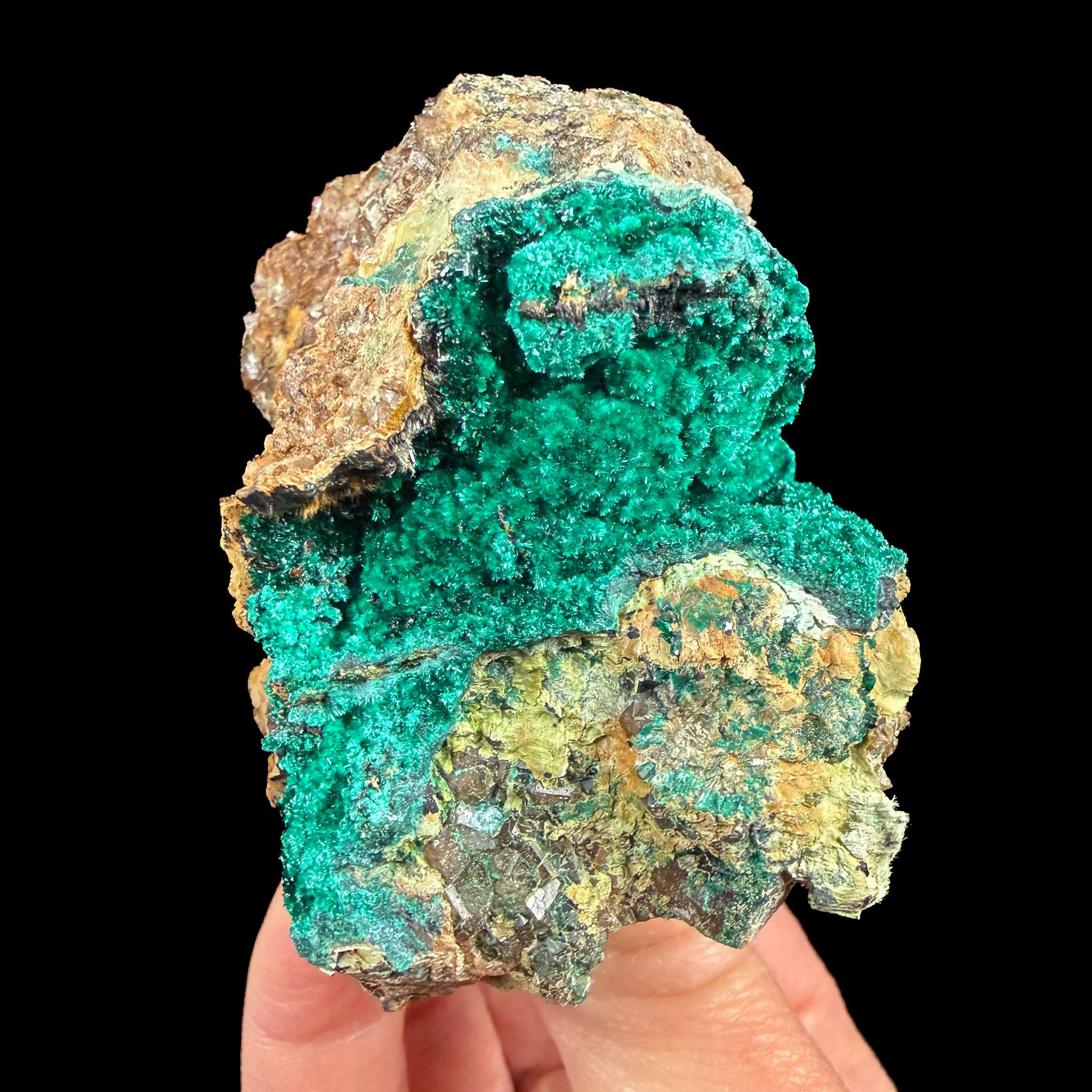 Brochantite crystal specimen from Nevada