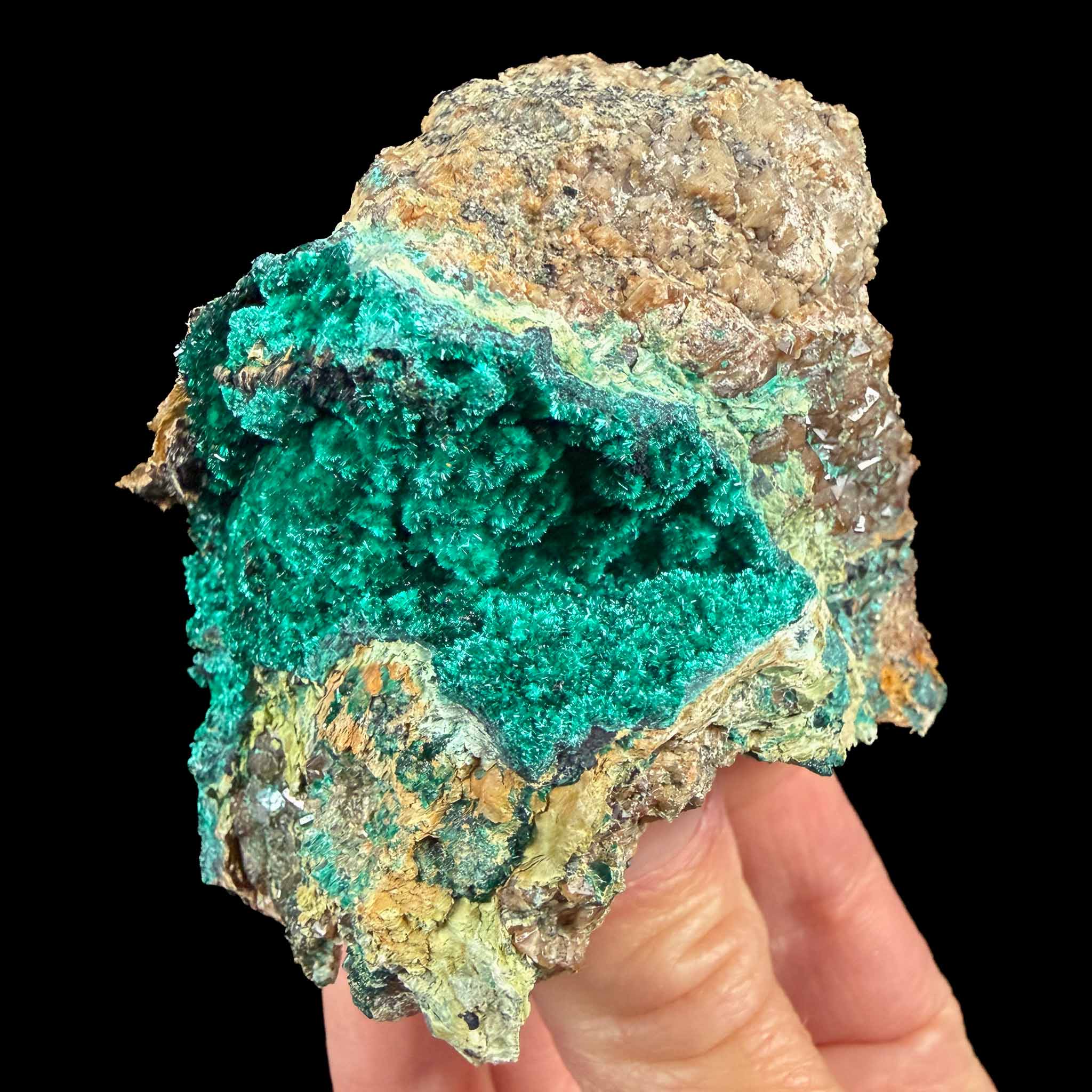 Brochantite - Douglas Hill Mine, Nevada