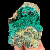 Brochantite mineral specimen from Douglas Hill Mine, Nevada, USA