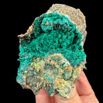 Green Brochantite crystals from Douglas Hill Mine, Nevada