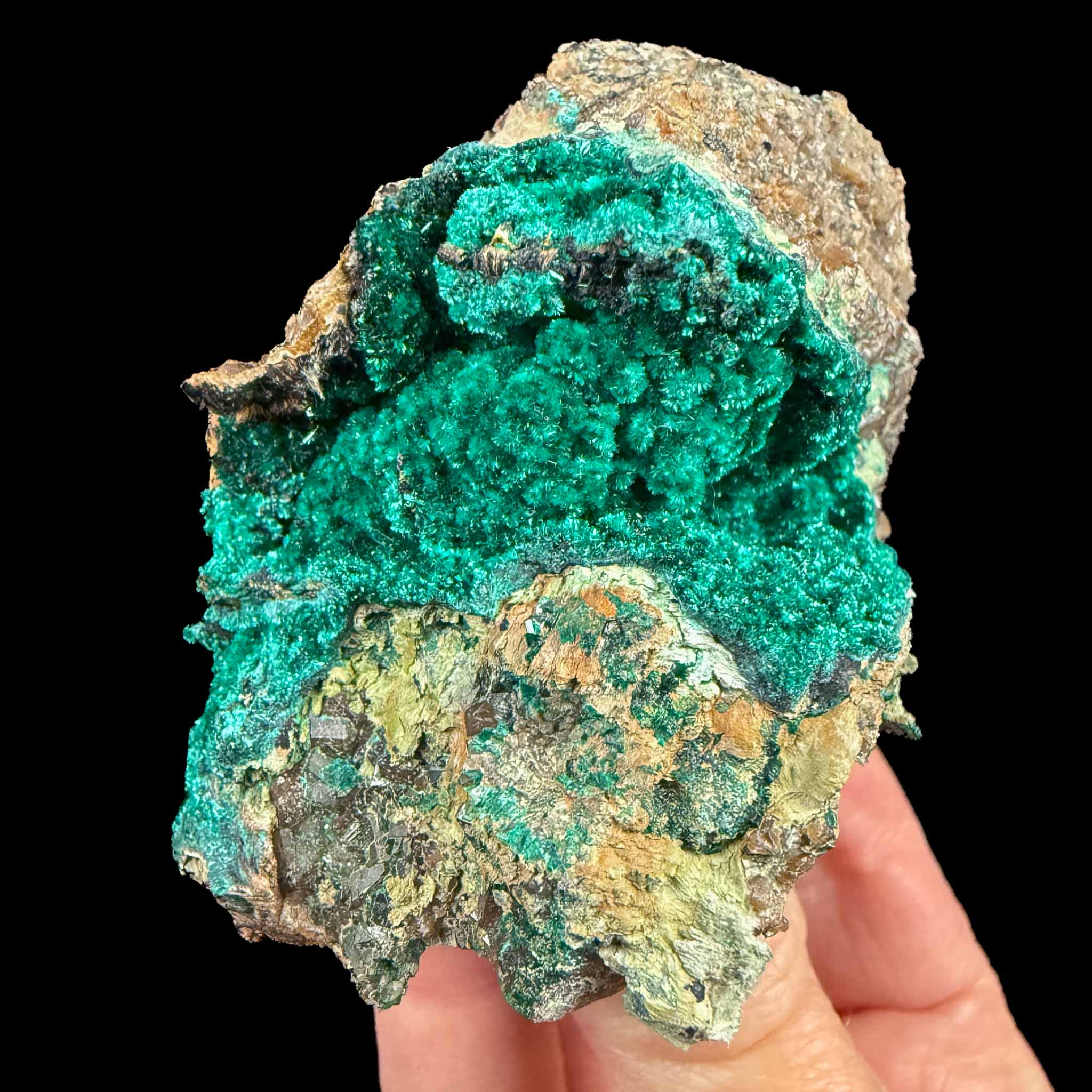 Green Brochantite crystals from Douglas Hill Mine, Nevada