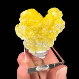 Brucite mineral specimen - Pakistan