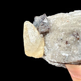 Close up of Calcite and Sphalerite - Cumberland Mine, TN