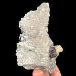 Reverse side of specimen