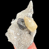 Close up of Calcite crystal with Sphalerite - Tennessee