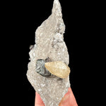 Calcite, Sphalerite and Quartz - Cumberland Mine, Tennessee