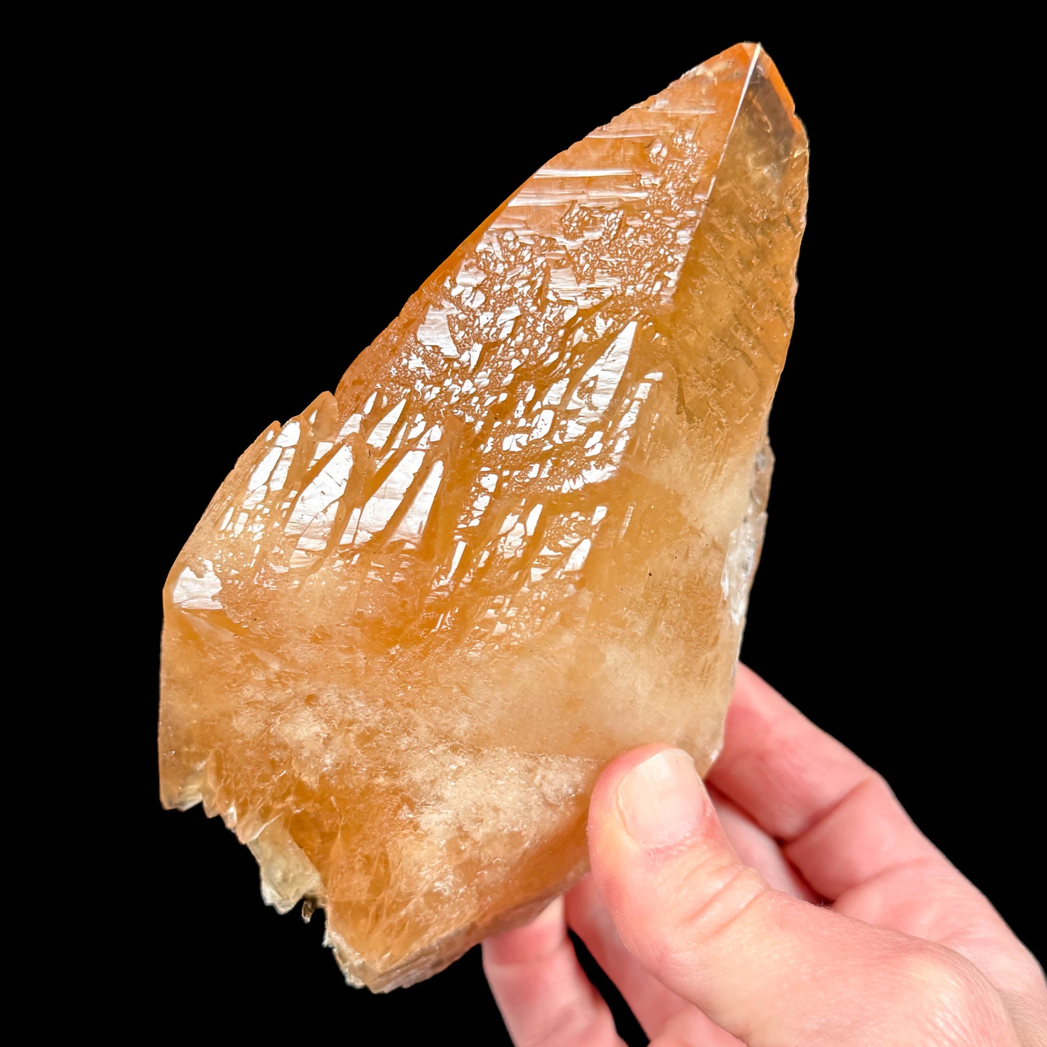 Large golden orange and yellow Calcite crystal from the Tri-State Mining District of Kansas, Missouri, and Oklahoma