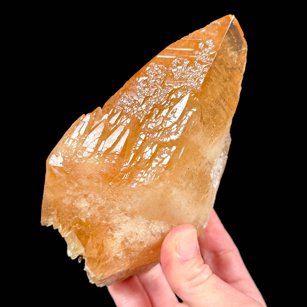 Calcite scalenohedron crystal from Tri-State Mining District