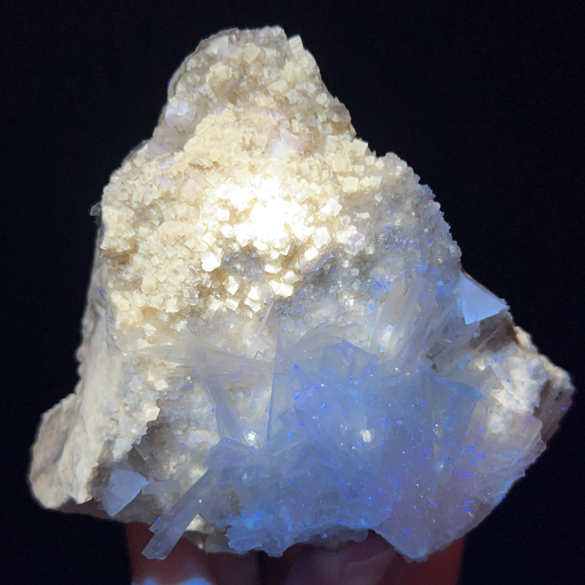 Fluorite from Clay Center, Ohio displaying UV fluorescence