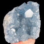 Blue Crystals of Celestite Inside a Geode