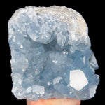 Geode with Blue Celestine Crystals