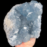 Celestite Geode with Blue Crystals