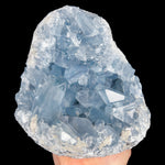 Blue Celestite Geode from Madagascar