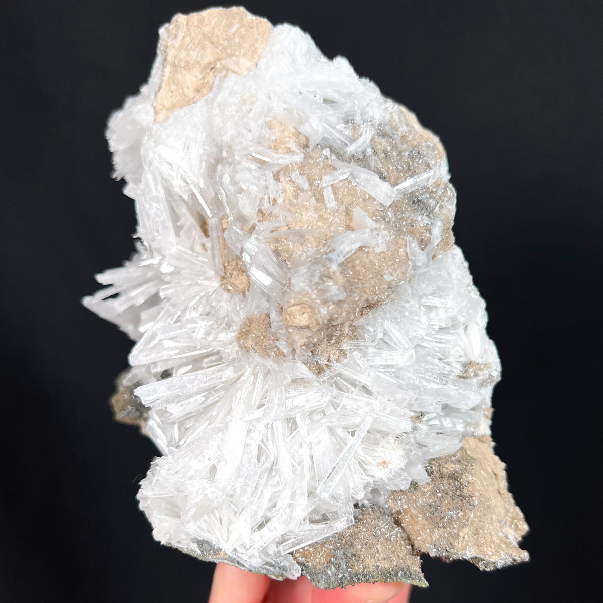 Side View Celestite Geode from Ohio