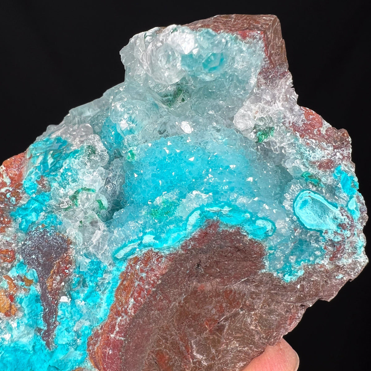 Quartz crystal coating Chrysocolla and Atacamite from the Lily Mine, Peru