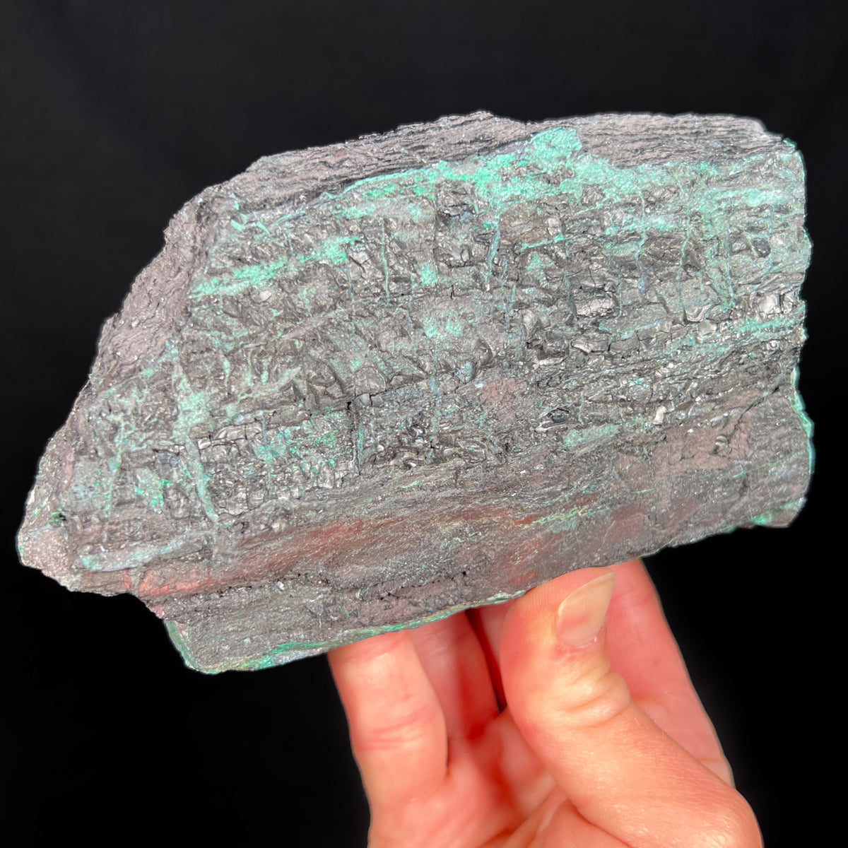 Chalcocite and Malachite Replaced Petrified Wood from New Mexico