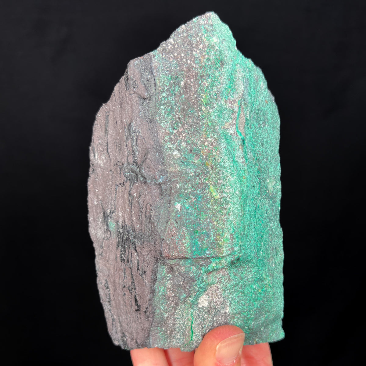 Malachite Replaced Petrified Wood