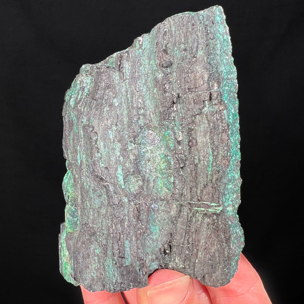 Chalcocite and Malachite Petrified Wood