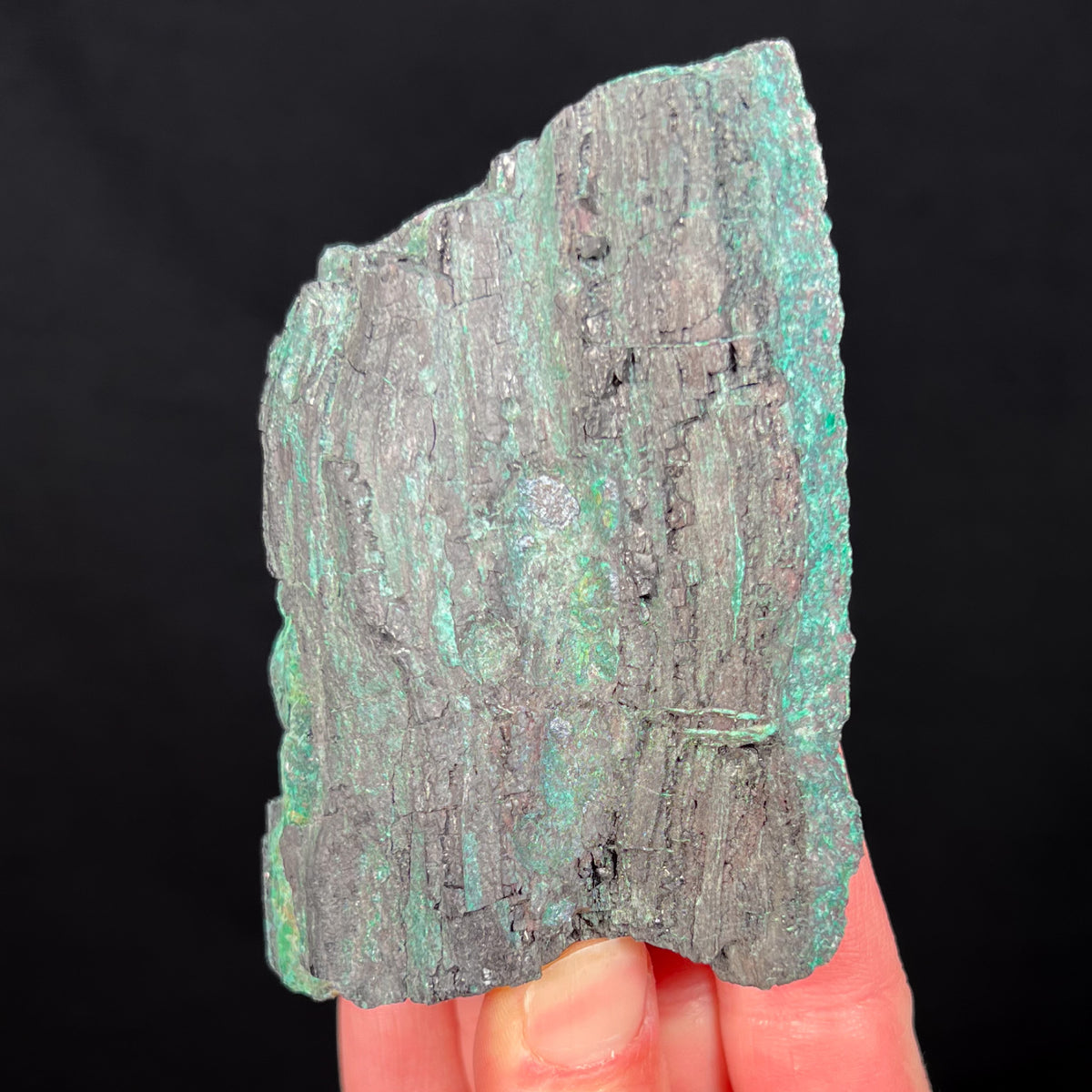 Copper-replaced Petrified Wood New Mexico