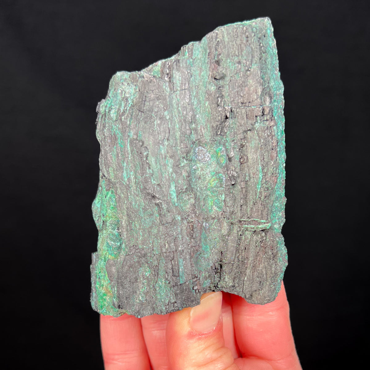 Malachite with Petrified Wood