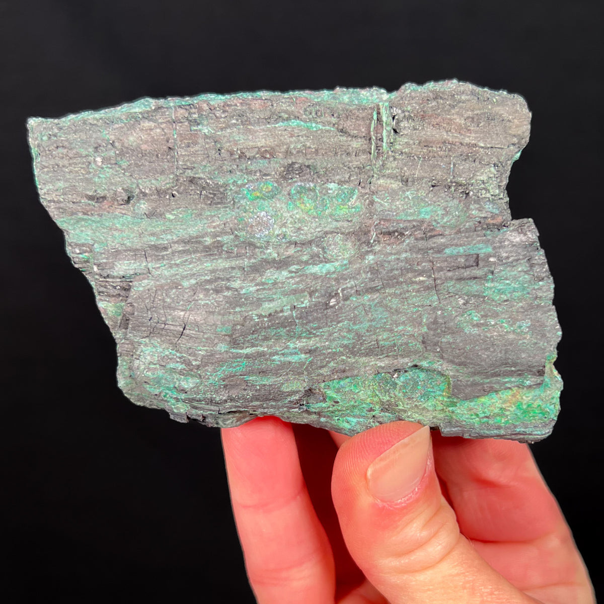 Chalcocite and Malachite replaced Petrified Wood New Mexico