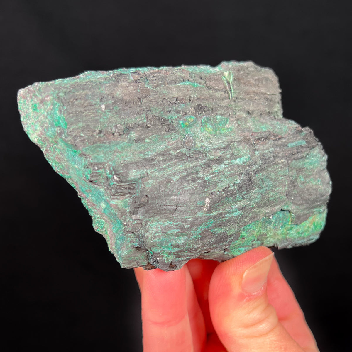 Petrified Wood Replaced by Copper Minerals from New Mexico