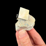 Pyrite cube in marl rock matrix from Spain