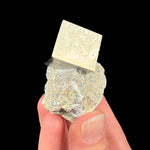 Pyrite cube in matrix from Navajun, Spain