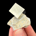 Cubic Pyrite crystal in rock matrix from Spain
