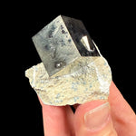 Cubic Pyrite mineral specimen in rock matrix from Spain