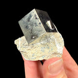 Cubic Pyrite mineral specimen in rock matrix from Spain