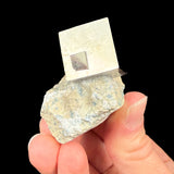 Pyrite cube crystal specimen in rock matrix