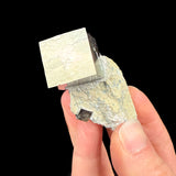 Larger and smaller Pyrite crystal cubes in a marl limestone matrix from Spain