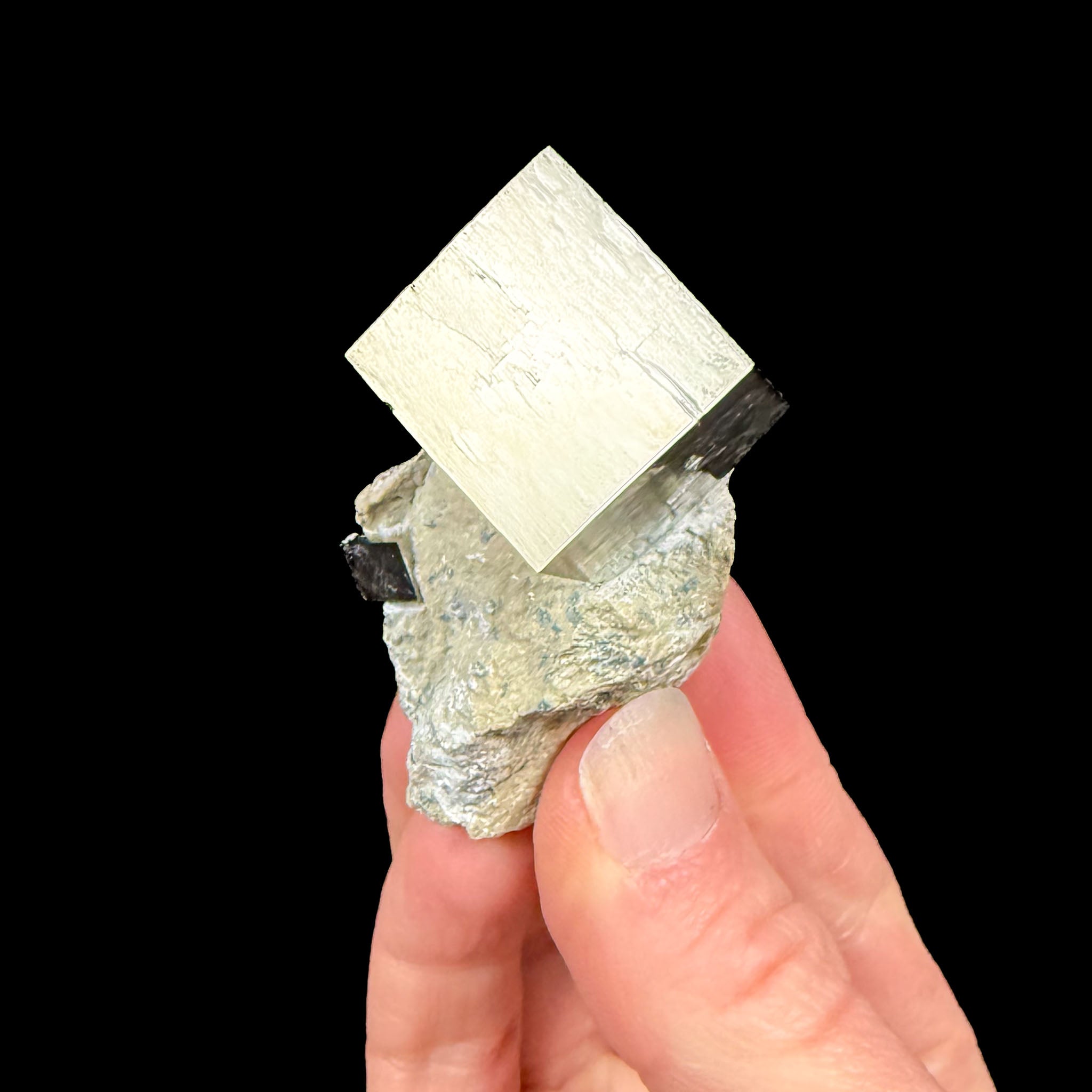 Pyrite cubes in matrix - Navajun, Spain