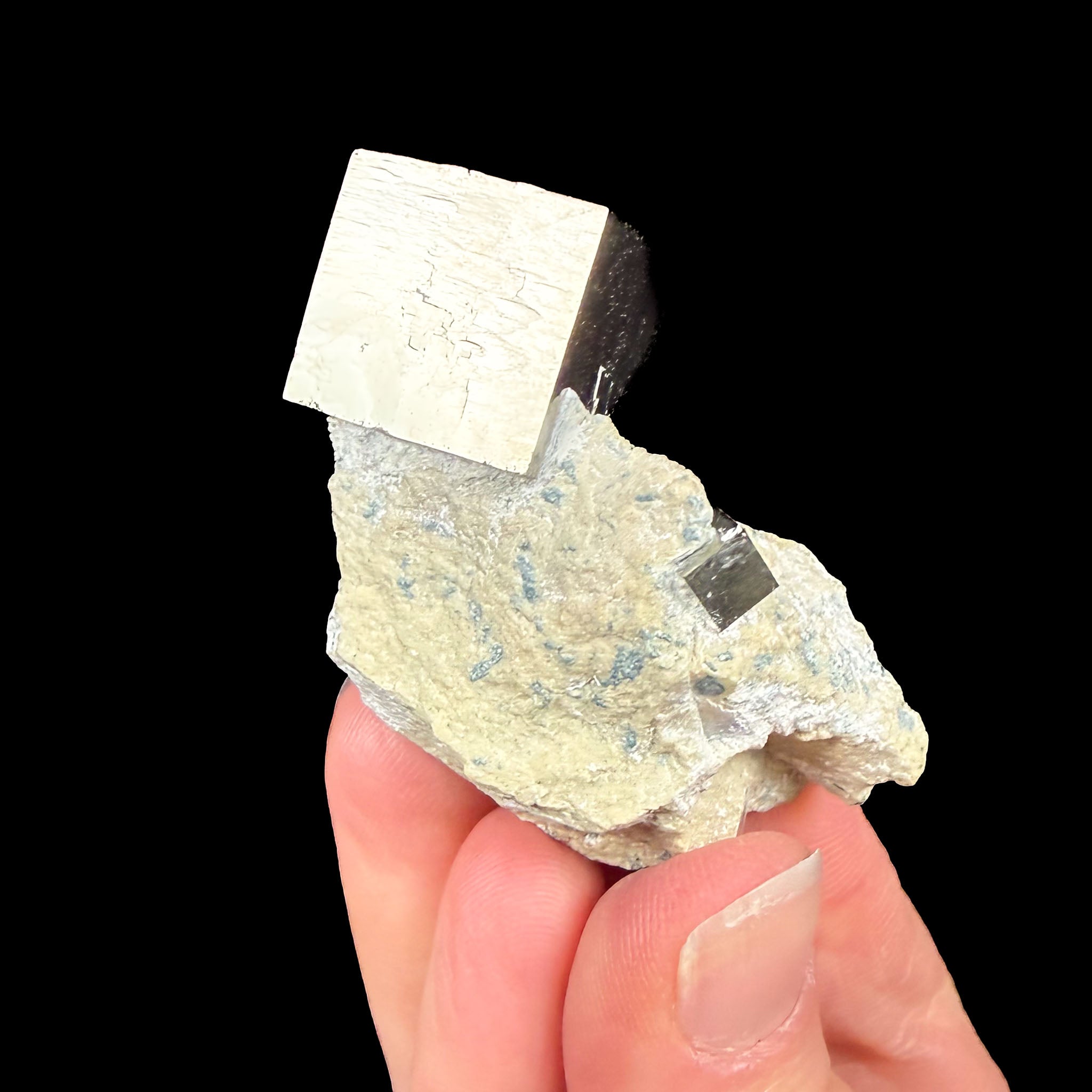 Pyrite cubes in marl limestone rock matrix from Navajun, Spain