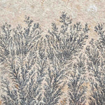 Close up of Manganese Dendrite crystals from Germany