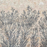 Close up of Manganese Dendrite crystals from Germany