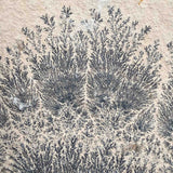 Close up of black Dendrite crystals on Limestone