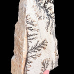Dendrite freeform in stone from Utah