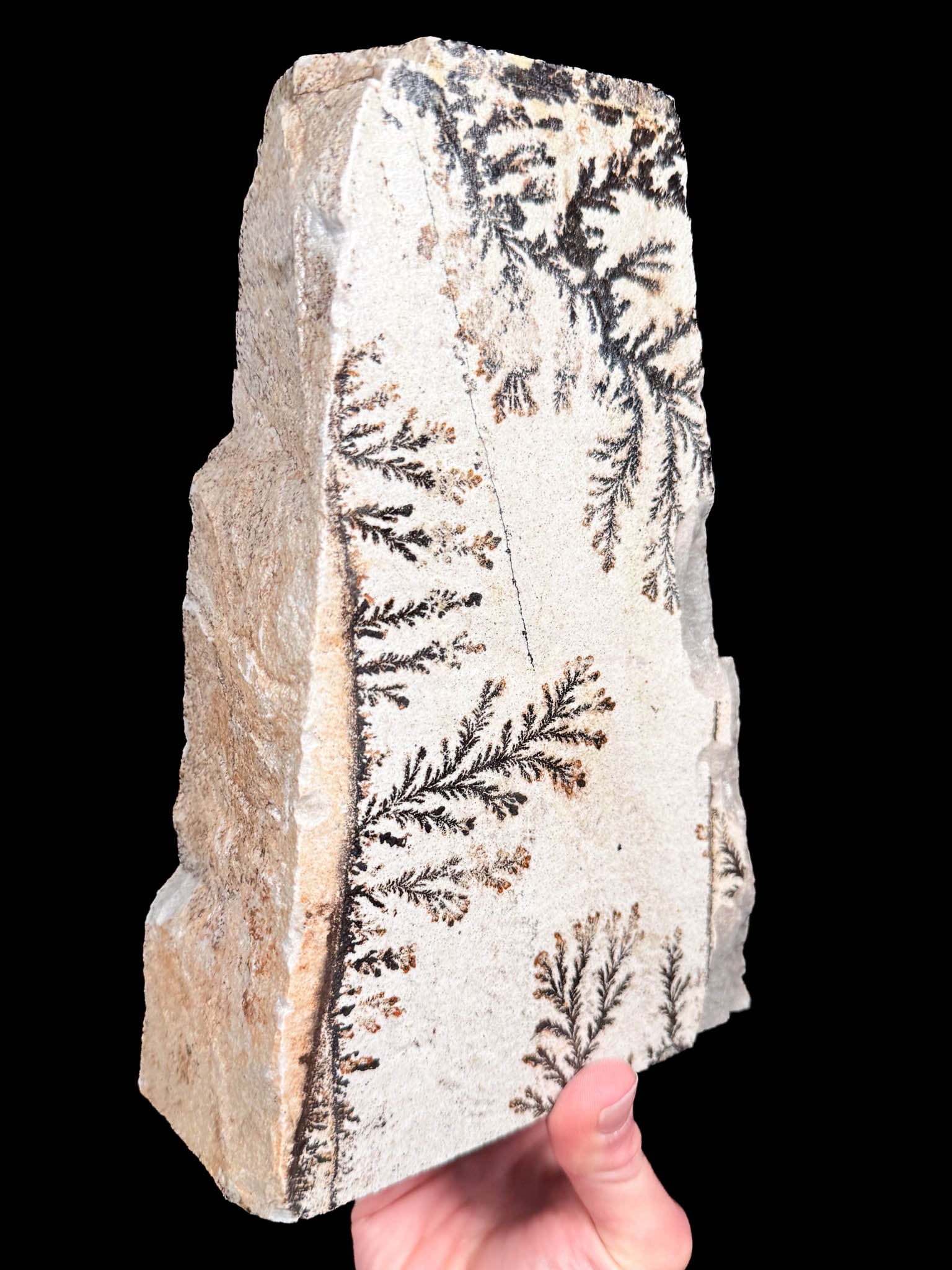 Dendrite freeform in stone from Utah