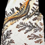 Close up of Dendrite pseudofossils from Utah