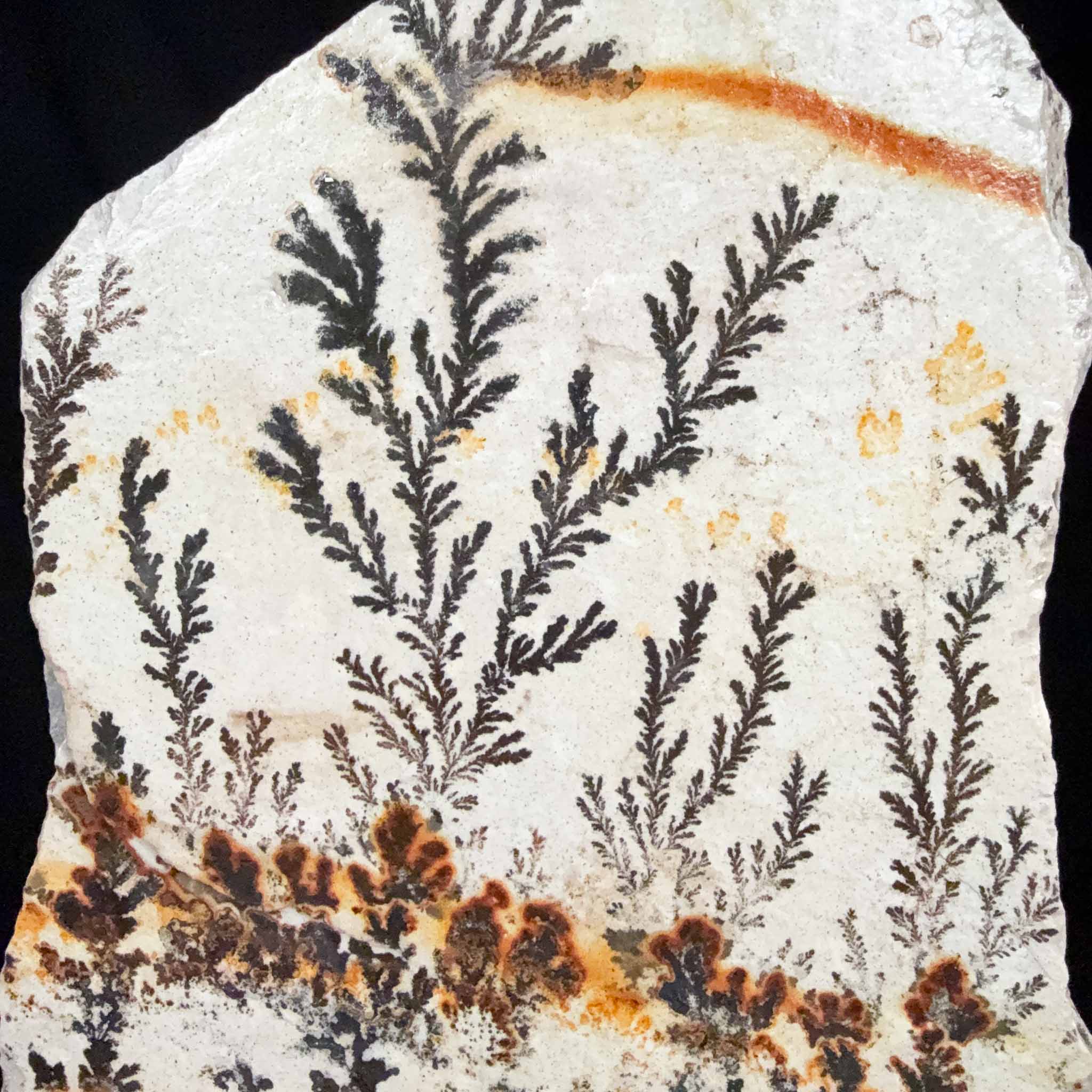 Close up of dendrite crystals from Utah